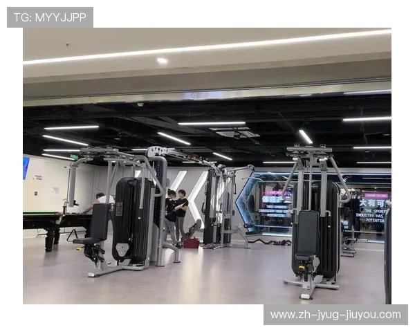 高端健身器械跨境贸易专家：打造智能健身房生态系统