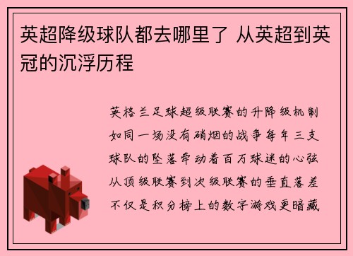 英超降级球队都去哪里了 从英超到英冠的沉浮历程