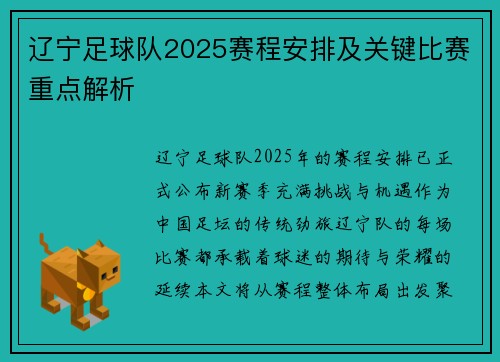 辽宁足球队2025赛程安排及关键比赛重点解析