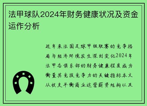 法甲球队2024年财务健康状况及资金运作分析